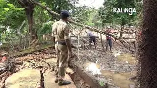 Wall Collapse Causes Concerns Over Deer&rsquo;s Safety in Odisha Raj Bhawan