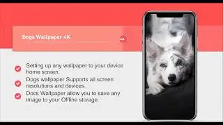 Dogs Wallpaper 4K