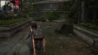 Stuck Inside A Zombie Apocalypse..