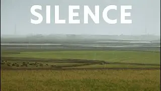 ASMR rain farm |If you&rsquo;re seeking silence & need #relaxing watch #asmr #video #nature 