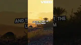 AI Generated | 🤖 AI's Top Hawaiian Spot: Where Digital Dreams Meet Paradise! 🌴