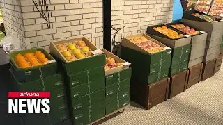 More S. Koreans shopping for eco-friendly gifts for this Lunar New Year
