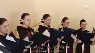 Virgo Potens - Louvor Perene com os Arautos