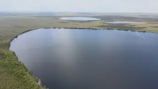 Yelnya