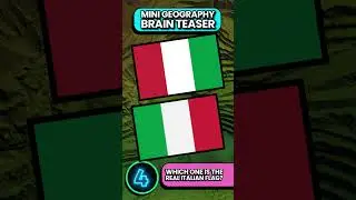 Is This A REAL Flag Or a FAKE? | 🚩🤨🌍 Brain Teaser #shorts