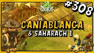 1h/jour pour finir Dofus, Episode 308 : Caniablanca & Saharach 1 !