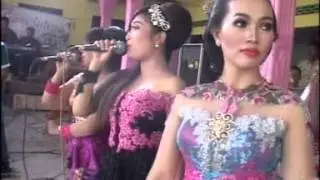 Salam Pambuko All Artis Campursari Camasutra Live Turi Rejo
