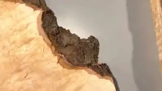 Hard Figured Maple Walk Through Educational Video