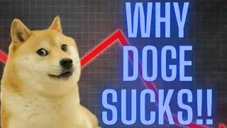 What is Dogecoin? | An Introduction into Meme Coins | Crypto for Beginners