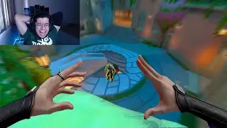 TILTANDO STREAMERS COM PAREDES DE SAGE