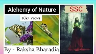 The Alchemy of Nature | By Raksha Bharadia | SSC | Hindi Explanation | By Jitendra Meher Sir