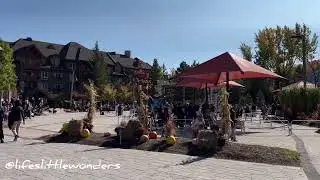 BEAUTIFUL CANADA ❤️🇨🇦🤍🍁 #beautifulcanada #fall #october2024 #youtube #youtubevideos #viralvideo #yt