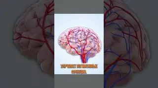 Ходьба улучшает аим? Неочевидный фактор аима 3. #aim #aimtraining #аим #aimimprove