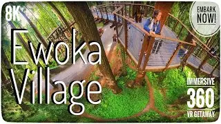 Enchanted Ewoka 🐻🌲🐻: Bright Tree Village 36O VR Find and Seek