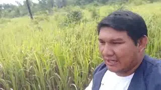 visita na aldeia matipu novo - xingu