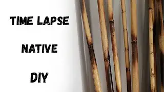 Time lapse Crafting a Native-Inspired Dreamcatcher with Natural Reed Ring 🌿