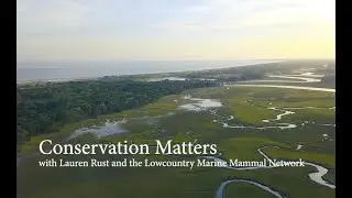 Conservation Matters: Lowcountry Marine Mammal Network