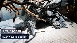 アマゾンの白砂と側面を活用する実験プロセス /aquarium/aquascape/60cm/vlog/