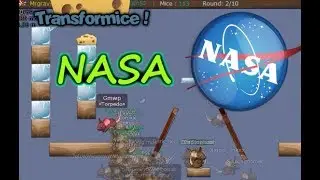 TRANSFORMICE - Gmwp +100 Mice #11