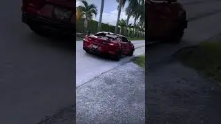 INSANE LOUD CAMARO ZL1 BURNOUT