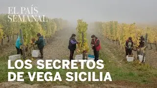 El misterio de Vega Sicilia | Reportaje | El País Semanal