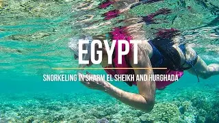 Egypt: Snorkeling in Sharm El Sheikh and Hurghada