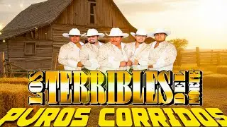 Los Terribles Del Norte – Grandes Éxitos Norteños 🤠 20 Clásicos