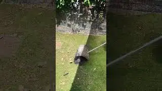 Makita BR400MP for fake turf brushing