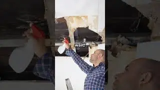 Kensington Severna Park's Mold Crisis: What You Need to Know!