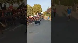 encierro Loeches domingo 2025