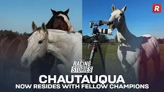 SUPERSTAR grey Chautauqua joins Living Legends