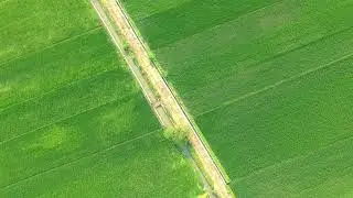 Video Drone Persawahan Hijau Tulungagung - Free Footage Aerial Drone