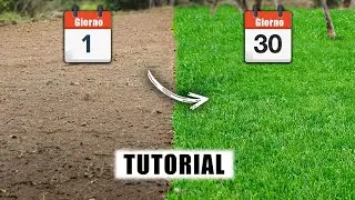 Come seminare un prato? TUTORIAL PER PRINCIPIANTI + ERRORI da evitare!!