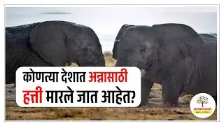 Current News : Namibia Plans to Kill Wild Animals @socialstudymaterial