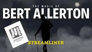 STREAMLINER by Bert Allerton