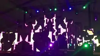 Jade Cicada- Sacred Trek Summercamp 2018