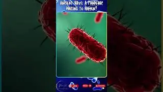 Ancient Viruses: The Forgotten Pandemic Hidden in Ice #worldmysteries #facts #mysteriesofegypt
