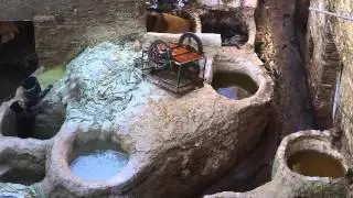 Planet Explorer 5 Morocco - Day 8