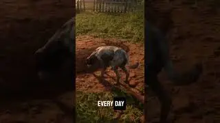 Have you noticed 🤔 The Dog  in Rdr2 #rdr2 #shorts