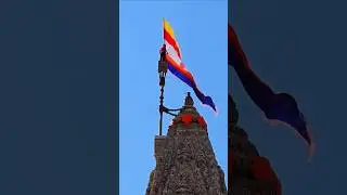 Dwarkadhish Dhaja | Dhaja Bavan Gaj | Dwarkadhish Live Darshan #shorts #dwarka #dwarkadhish #short
