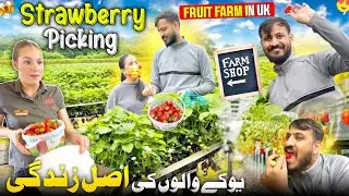Strawberry Picking in Uk Village Farm 🍓🇬🇧 England Walu Ki Hard Life || Manor Fruit Farm in Tamworth