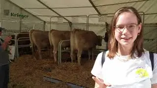 The most beautiful Swiss schwing festival - Schw&auml;galp Schwinget