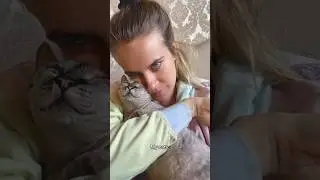 Cat parent life 💖🥰 #catparent #catparents #catparenting