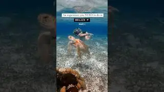 The best snorkelling in the world! 🤯 #travel #adventure #belize #snorkeling
