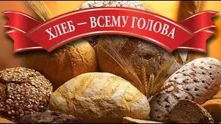Анатомия отбора 4 : Хлеб всему голова