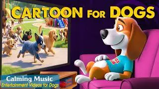 Cartoon for Dogs: Relaxing Dog TV to Keep Your Dog Entertained Home Alone &ndash; Dog Cartoon with Music