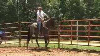 sonnyblue.wmv