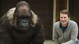 Gorilla Glue Summer 2020 TVC