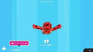 スクワッド⇒カラーチームカスタム2