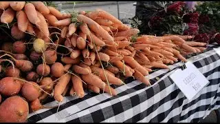 Shop your local Farmers Market